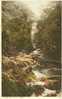 Britain United Kingdom - Fairy Glen Bettws-y-Coed 1940s Postcard [P1377] - Caernarvonshire