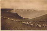 The Seven Sisters Cliffs Seaford    Sheap - Andere & Zonder Classificatie