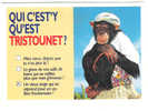 Singe / Ape / Monkey, CHIMPANZEE ; "Qui C'est'y Qu'est Tristounet?"; Question-Reponse ; Photo Lacz-Sunset;1995; TB - Monos