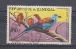 Sénégal YT PA 32 Obl : Rollier - Perroquets & Tropicaux