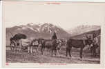 CPA LES PYRENEES LOURDES BAGNERES DE BIGORRE TARBES UN ATTELAGE MONTAGNARD - Midi-Pyrénées