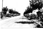 LA LONDE LES MAURES - Boulevard De La Mer - La Londe Les Maures