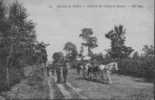 72. ENVIRONS DU MANS. L'ENTREE DU CHAMP DE COURSES. Belle Animation. PUB. Chaussures à Vis. G.CROCHARD FILS. - Hippisme