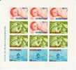 NETHERLANDS 1967 MICHEL NO: BL.5  MS  MNH - Neufs