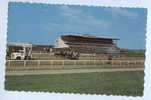 HORSE SHOW - "THEY¨RE OFF" At The WOODBINE In Metropolitan Toronto, 1976. - Ippica