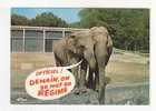 Collection :  ANIMAUX HUMORISTES -  N° AN 71  - ELEPHANTS -  Tu Me Trompes - Elephants