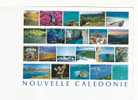 NOUVELLE CALEDONIE  - 21 Vues  - Terre De Contrastes - Nouvelle Calédonie