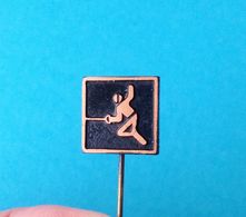 FENCING  - Old Rare Pin Badge * Scrime Esgrima Fechten Scherma Fence Omheining Fäktning Indhegning Miekkailun Fekting * - Scherma