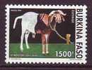BURKINA FASO. 1994. YT 904** . Animaux D'élevage - Burkina Faso (1984-...)