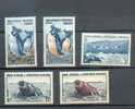 TAAF 200 - YT 2-3-4-6-7 * - Unused Stamps