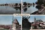 11 CASTELNAUDARY Panorama Les Quais Le Moulin Cathedrale St Michel - Castelnaudary