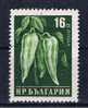 BG+ Bulgarien 1958 Mi 1081 Schoten - Used Stamps