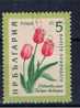 BG+ Bulgarien 1960 Mi 1165 Tulpen - Usados