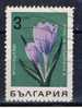 BG+ Bulgarien 1967 Mi 1793 Blume - Usati