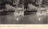 Vichy - Parc - Bassin Cygnes - Stereoscope Cards