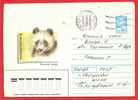 RUSSIA URSS  1988 Nice Postal Stationery Cover Entiers Postaux ZOO Parck Panda Bear - Ours