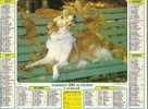 CALENDRIER ALMANACH DES PTT De  1991 Des Chiens - Groot Formaat: 1991-00