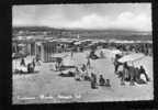 S1490 CARTOLINA ILLUSTRATA MARCHE CIVITANOVA SPIAGGIA SUD.TIMBRO ANNULLO AMBULANTE BOLOGNA FG. V.1958 - Macerata