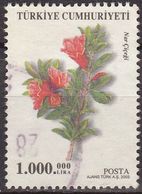 Turquia 2003 Scott 2863 Sello º Flora Granada Nar Cicegi Pomegranate (Punica Granatum) Yvert 3080 Michel 3351 Turkey - Gebruikt