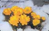 # KOREA O9409125 Amur Adonis 3000 Autelca 09.94 -fleurs,flowers-   Tres Bon Etat - Korea (Zuid)