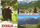Andalo M.1000 Dolomiti Di Brenta Orso - Beren