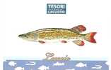Pesce Luccio - Poissons Et Crustacés