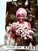 UGANDA MISSIONE A KABALE NORTH KIGEZI ST PAUL SEMINARY RUSHOROZA BAMBINA CON CASCO BANANE N1977 CJ4066 - Oeganda