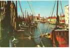 CHIOGGIA (Venezia) - Barca Da Pesca E Bragozzi In Canale S. Domenico - Chioggia