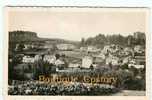 85 - POUZAUGES - Vue Sur Le Chateau Et Le Bois De La Folie - RARE - Dos Scané - Pouzauges