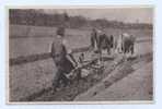 PLOUGHING - Postcard - Landbouw