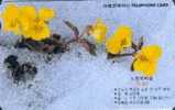 # KOREA MO0001101 Yellow Flowers 2000 Autelca 01.00 -fleurs,flowers-   Tres Bon Etat - Corée Du Sud