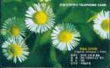 # KOREA MO9901101 Erigeron Annuus 2000 Autelca 01.99 -flowers,fleurs- Tres Bon Etat - Korea, South