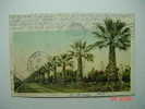 6600  UNITED STATES USA   FRESNO CALIFORNIA PALM AVENUE  YEARS  1903  OTHERS IN MY STORE - Fresno