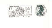 1987 France 06 Alpes Maritimes Grasse Exporose Rosa Rose Roses Flowers Fiori Fleurs - Rosas