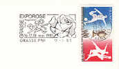 1981 France 06 Alpes Maritimes Grasse Exporose Rosa Rose Roses Flowers Fiori Fleurs - Rosas