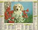 CALENDRIER ALMANACH DES PTT De 1972 Petit Chien Petit Chat - Big : 1971-80