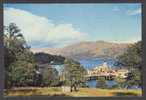 United Kingdom PPC Scotland Dunbartonshire The Loch Lomond Steamer At Tarbet Colour Photo - Dunbartonshire