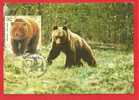 ROMANIA Maxi Card / Maximumcard /  Bear Ours. Block - Ours