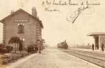 DOLLON LE LUART (72) Carte Photo Train En Gare - Sonstige & Ohne Zuordnung