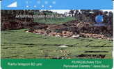 # INDONESIA S217 Perkebunan Teh Rancabali - Tea Plantation 60 Tamura 02.94  Tres Bon Etat - Indonesia
