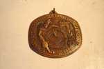 MEDAILLE / ALLEMAGNE / 49°  CARNAVAL DE NECKARGEMUNDER 1975 - Altri & Non Classificati