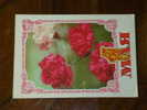 Russia,SSSR,Socialism,Communism,Event,Holyday,1. May,Labour Day,Flowers,Carnations,Stationery  Postcard - Eventos