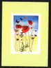 Illustrator D.ZACHAR - Butterfly And  POPPY POPPIES  CZECH Pc 15294 - Mariposas