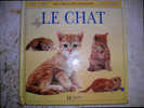 Le Chat Regarde-les Grandir Chez Hachette Jeunesse. - Hachette