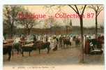 FOIRE & MARCHE Aux BESTIAUX à MEDEA - BOEUFS & VACHES - DOS VISIBLE - Kirmes