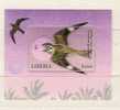LIBERIA    Faune Oiseaux D'Afrique     BF 418** - Swallows
