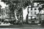 66 - Belle CPSM Rivesaltes - Place De La Mairie (cafés) - Rivesaltes