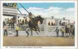 CHEYENNE WYOMING - RODEO - FRONTIER DAYS - BRONCO BUSTER - CIRCA 1930 - Cheyenne