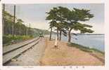 SUMA BEACH 9 (TRAIN CIRCULANT PP) - Kobe