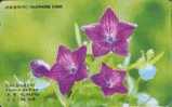 # KOREA MO9907126 Platycodon Grandiflorum 2000 Autelca 07.99 -fleurs,flowers-   Tres Bon Etat - Korea (Zuid)